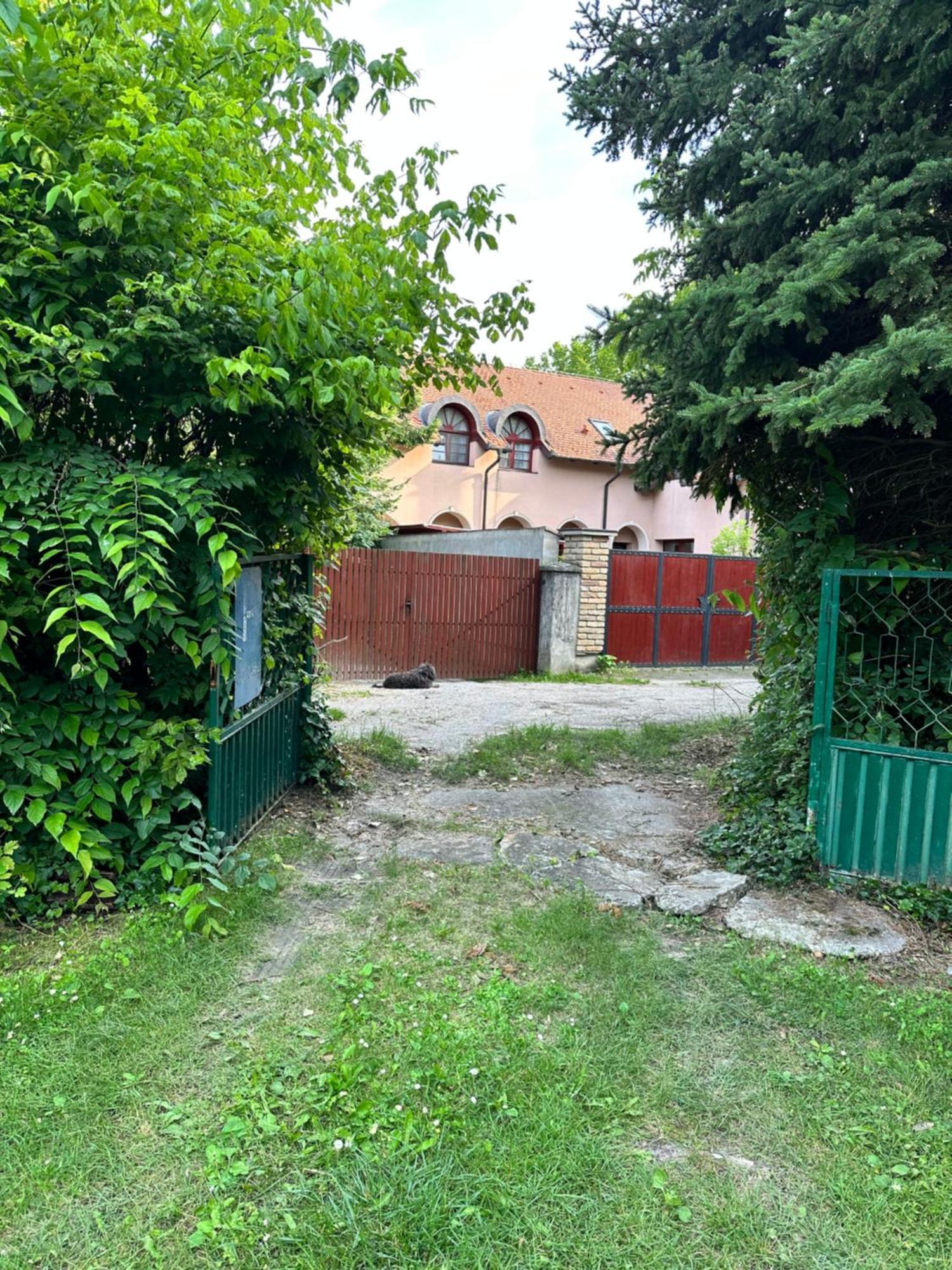 Vila Regina Palić Rom bilde