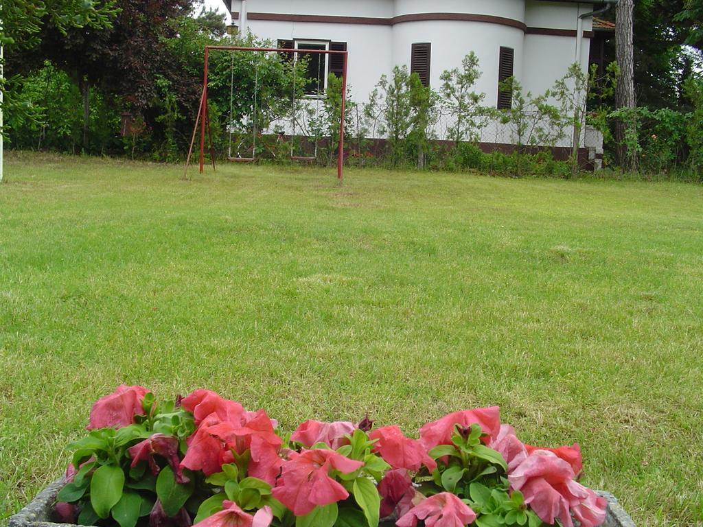 Vila Regina Palić Rom bilde